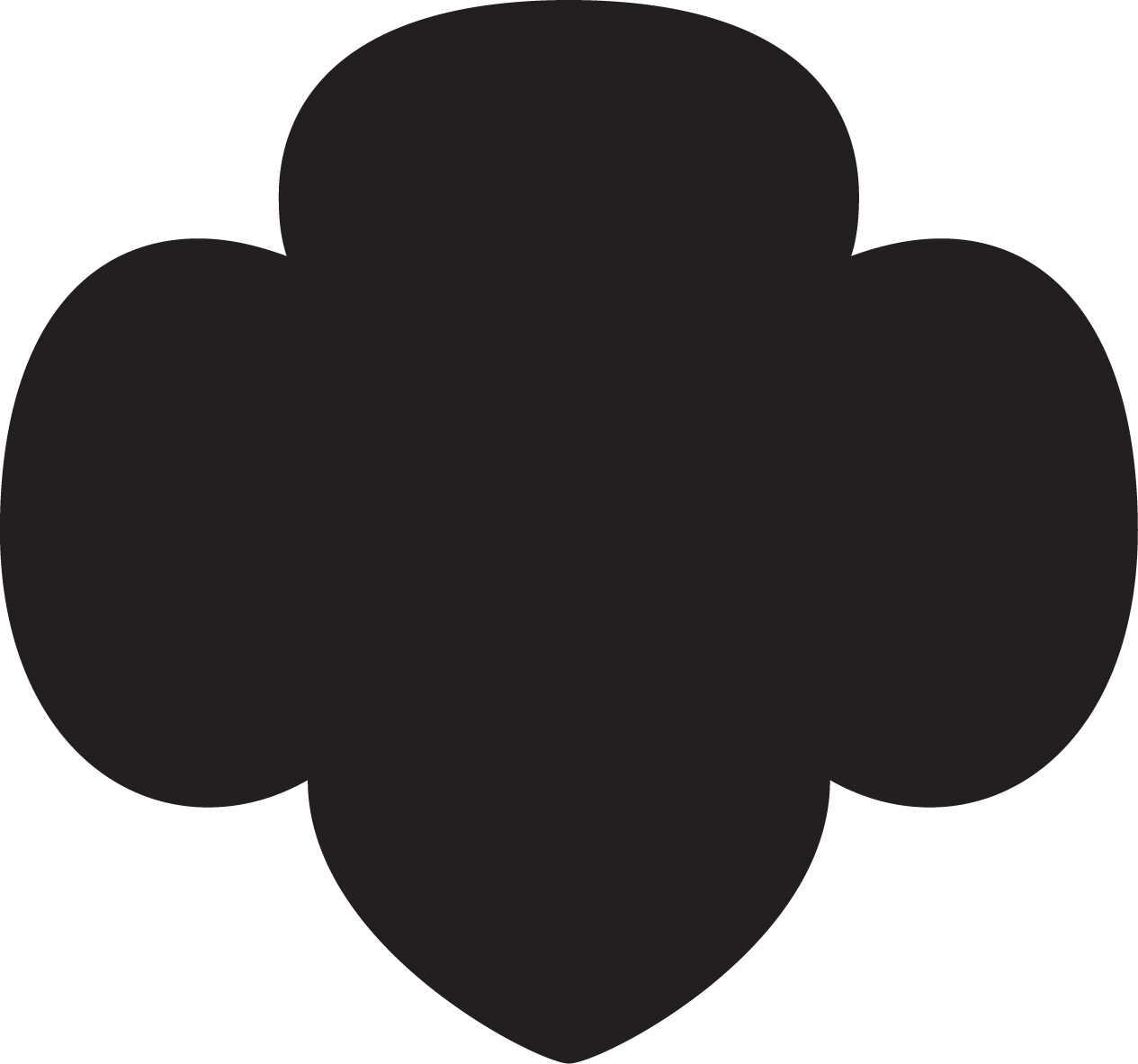 Girl Scouts of Western New York Maker Picture