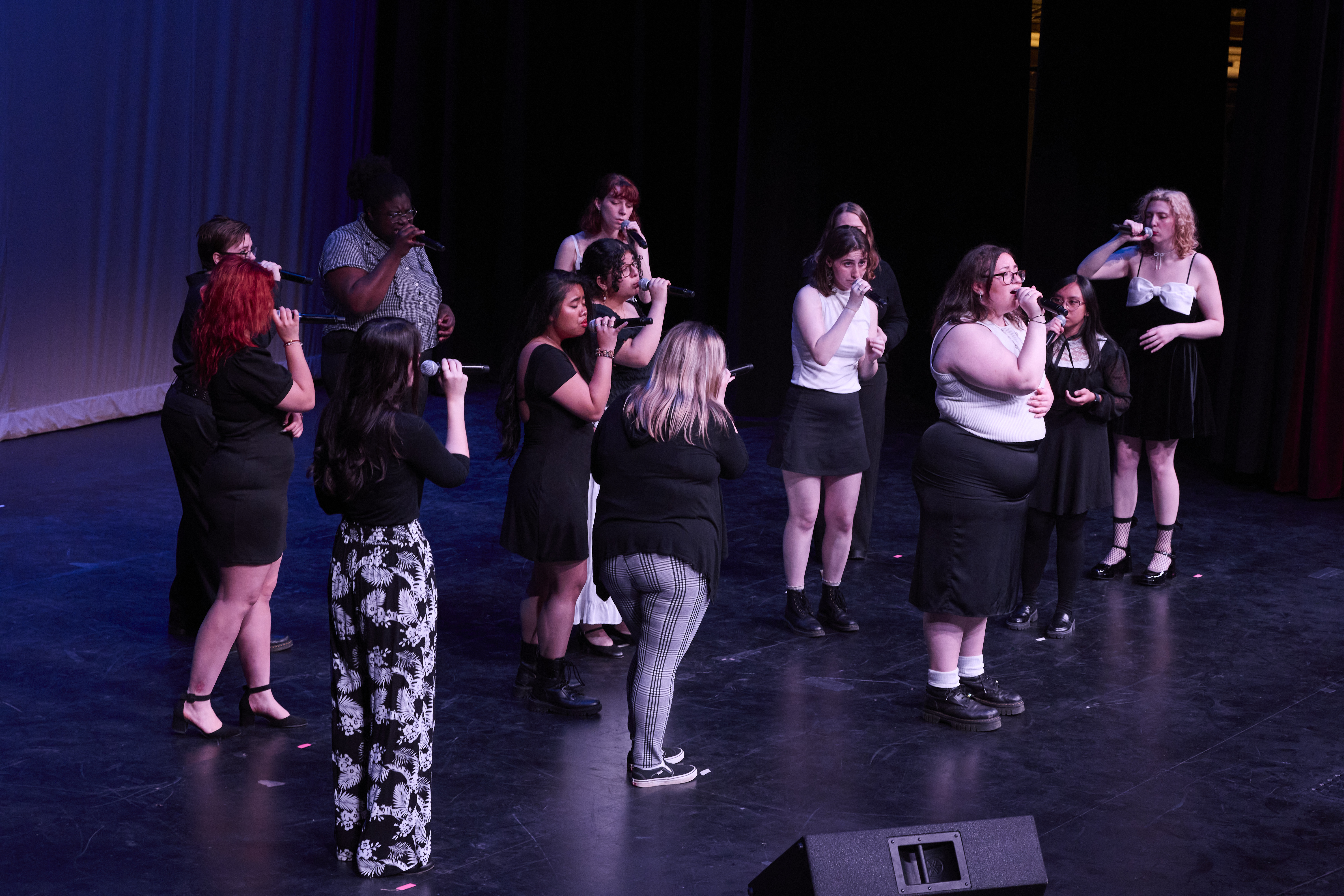 Vocal Accent Maker Picture
