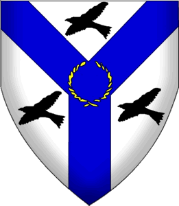 Barony Of Thescorre SCA project image